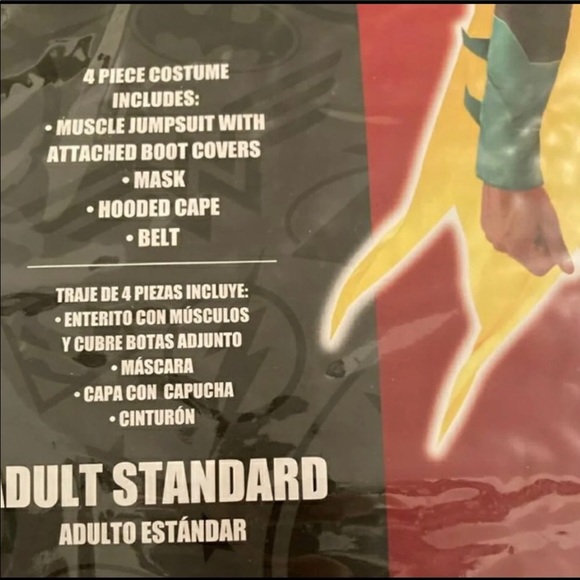 Robin Costume - Picture 4 of 4